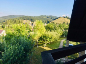 Forest Chalet Sucevita